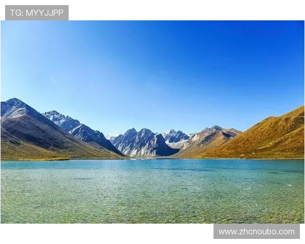 欧博代理平台官网入口：2024年最新官方入口地址及使用流程全攻略