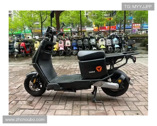 欧博二代d豪华版价格最新行情及购买指南