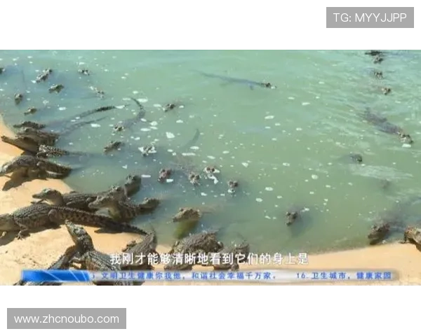 欧博信官方旗舰店：专业团队为您提供一站式购物体验与贴心的售后服务保障